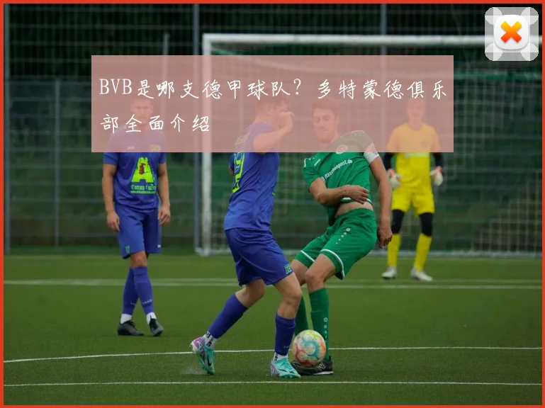 BVB是哪支德甲球队？多特蒙德俱乐部全面介绍