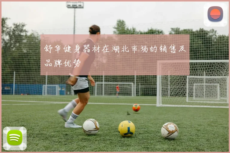舒华健身器材在湖北市场的销售及品牌优势