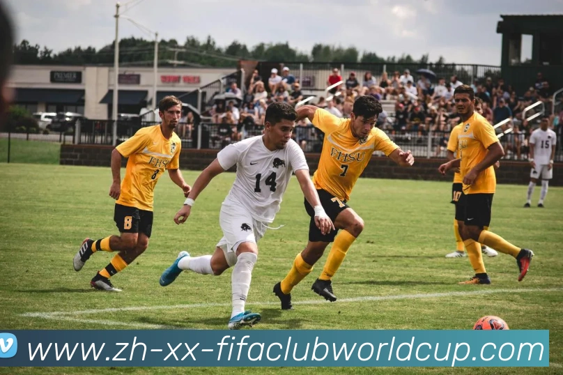 多媒体互动体验